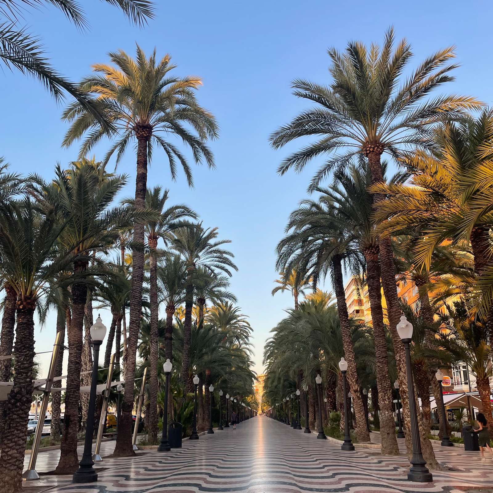 Oldies, Banger, withe girl music and all time favorites